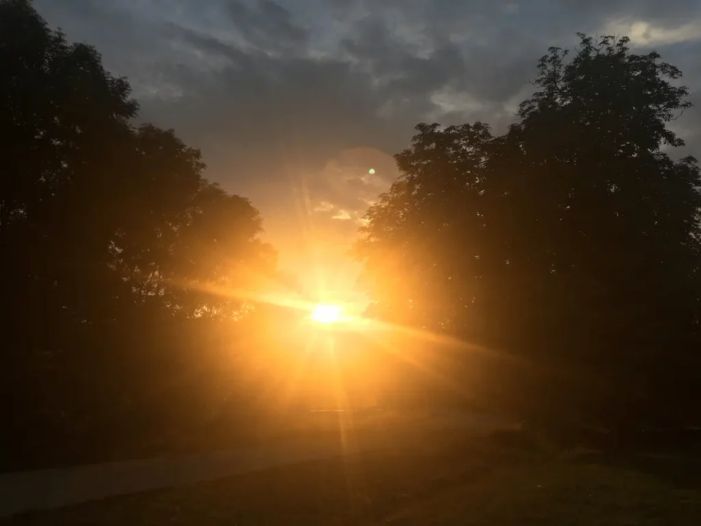 Eine Fotografie, wie die Sonne zwischen einer Baumlandschaft ist.